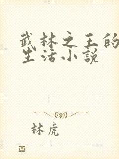 武林之王的退隐生活小说
