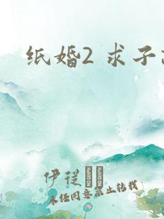 纸婚2 求子记