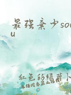 最强弃少sodu
