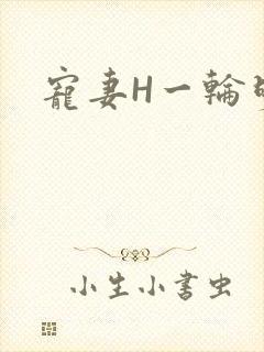 宠妻H一轮明月
