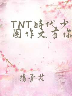 TNT时代少年团作文有你真好