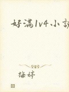 好满1v4小说