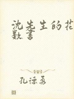 沈先生的花式调数书