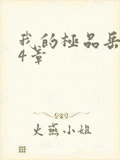 我的极品岳坶34章