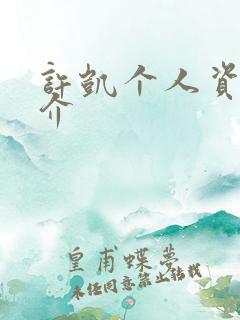 许凯个人资料简介