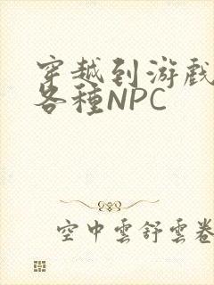 穿越到游戏里和各种NPC