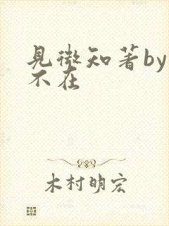 见微知著by音不在