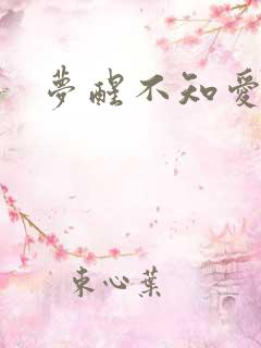 梦醒不知爱欢凉