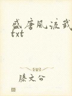 盛唐风流武状元txt