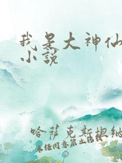 我是大神仙时江小说