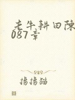 老牛耕田陈雪1087章