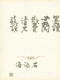 苏清欢君墨琛小说免费阅读