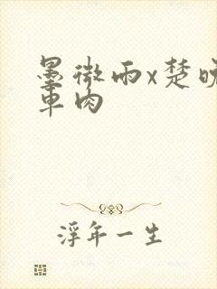 墨微雨x楚晚宁车肉