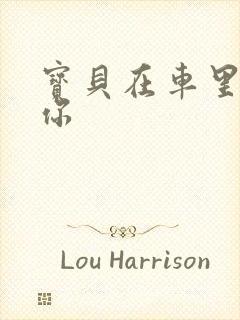 宝贝在车里想要你