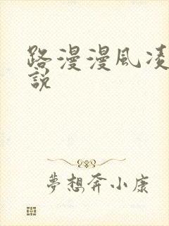 路漫漫风凌轩小说