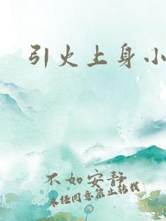 引火上身小说