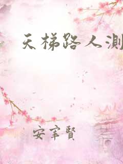 天梯路人测试器