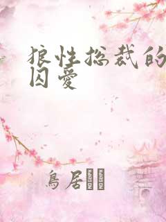 狼性总裁的地下囚爱