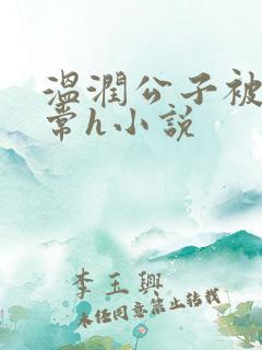 温润公子被脔日常h小说