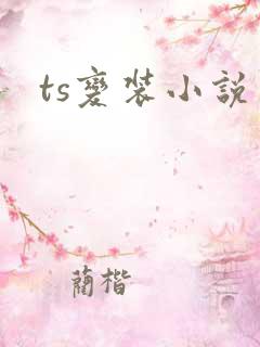 ts变装小说