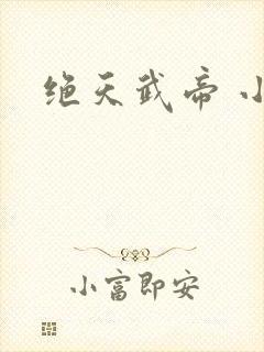 绝天武帝 小说