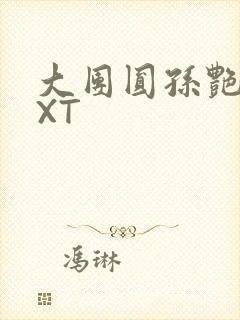 大团圆孙艳梅TXT