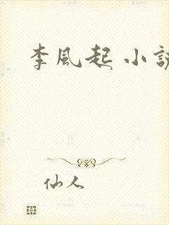 李风起 小说