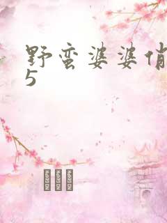 野蛮婆婆俏媳妇5