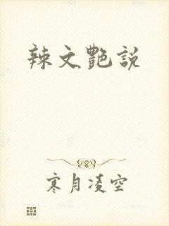 辣文艳说