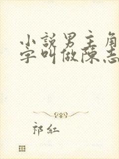 小说男主角的名字叫做陈志远