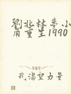 刘北林梦小说主角重生1990