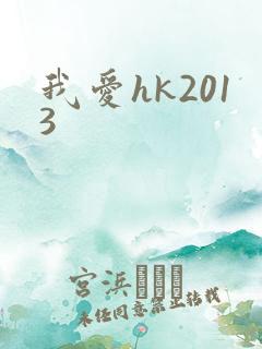 我爱hk2013