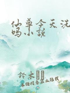 仙尊今天洗白了吗小说