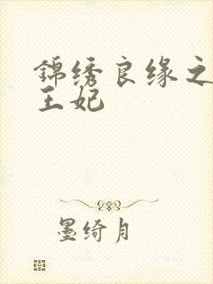 锦绣良缘之北地王妃