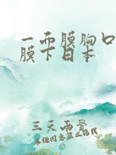 一面膜胸口一面膜下日本