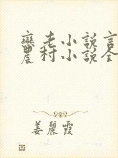 恋老小说言情网农村小说全文阅读