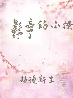 影帝的小撩精太野了