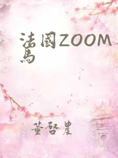 法国ZOOM人马