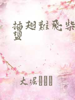 插翅难飞柴米油盐