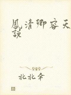 凤清卿容天凌小说