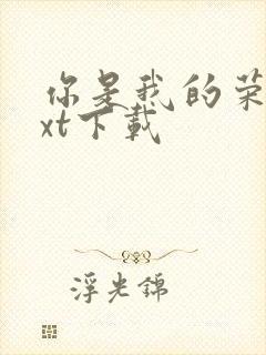 你是我的荣耀txt下载