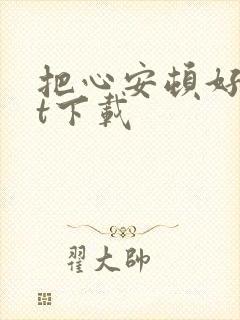 把心安顿好txt下载