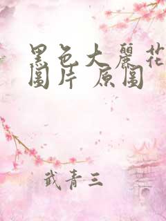 黑色大丽花真实图片 原图