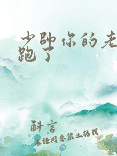 少帅你的老婆又跑了