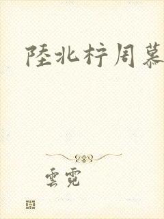 陆北柠周慕深