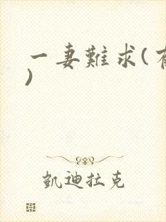 一妻难求(有肉)