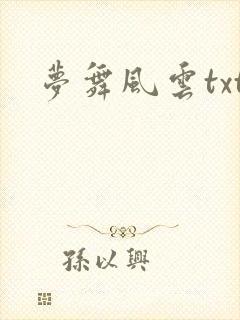 梦舞风云txt