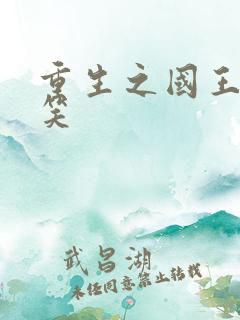 重生之国王的微笑