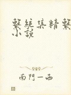 系统集精系统 小说