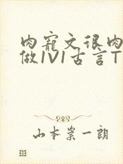 肉宠文很肉到处做1V1古言T